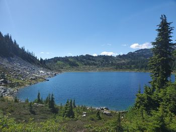 Scenic view of lake in forest against sky