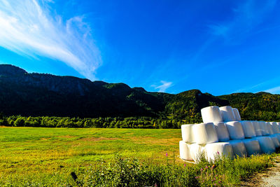 Scenic view of field against blue sky