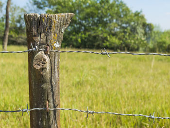 Close-up of barbed wire on wooden post