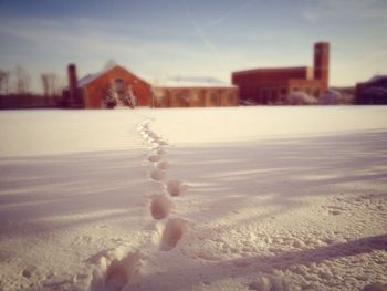 View of beach against the sky