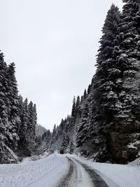 snow