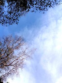 Low angle view of bare tree against cloudy sky