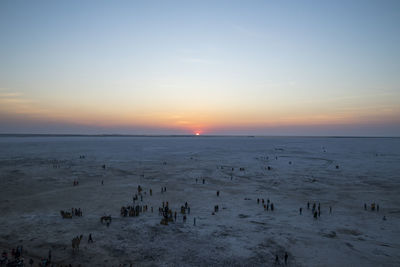 Group of people on beach at sunset