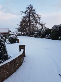 Snow covered bare tree against sky