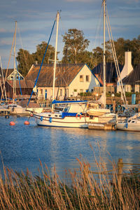 Sailboats moored at harbor