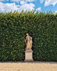 Rear view of woman standing by plants