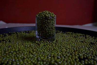 Close-up of green leaf on table