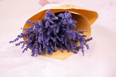 High angle view of purple flowering plant on table