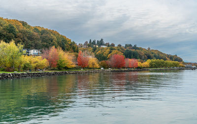 Scenic view of lake by trees against sky