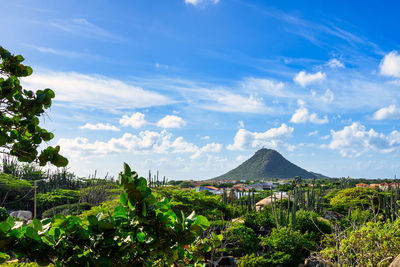 A panoramic view of the caribbean island of aruba from the casibari rock formations under blue skies
