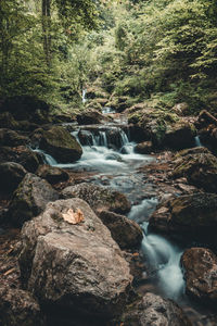 Stream flowing through rocks in forest