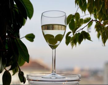 Close-up of wine glass on table