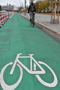 Rear view of man riding bicycle on road