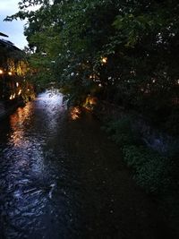 Scenic view of river amidst trees in forest