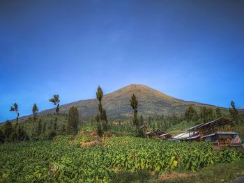 One of the posts for climbing mount sindoro via temanggung