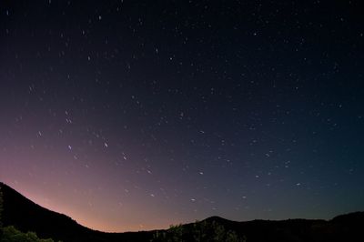 Low angle view of silhouette stars against sky at night