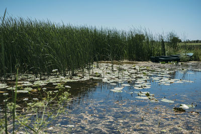 Scenic view of lake against sky