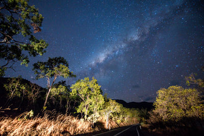 Trees against sky at night