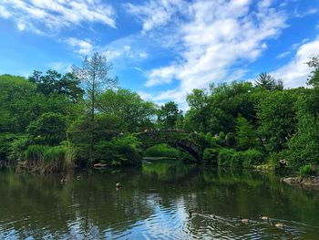 Scenic view of lake in forest against sky