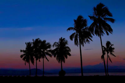 Silhouette palm trees on beach against sky during sunset