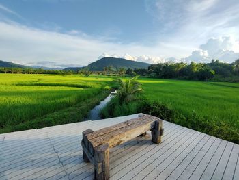 Scenic view of agricultural field against sky