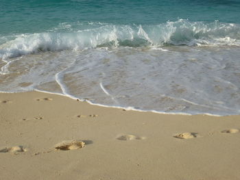 Scenic view of beach