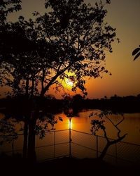 Silhouette tree by lake against sky during sunset