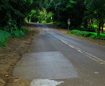 Empty road along trees