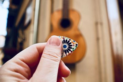Close-up of hand holding butterfly against blurred background