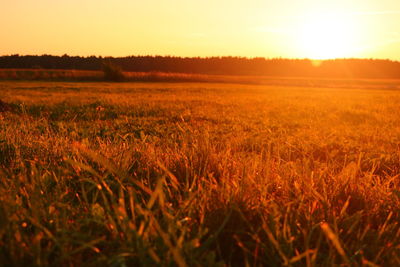 Scenic view of field against sky during sunset