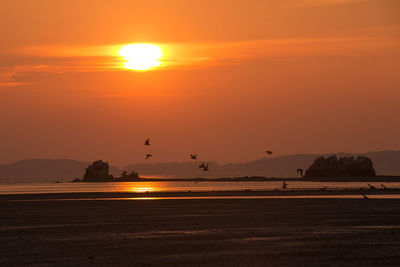 Scenic view of sea against orange sky