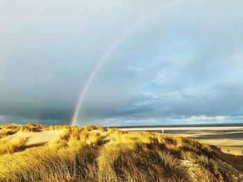 Scenic view of field against rainbow in sky