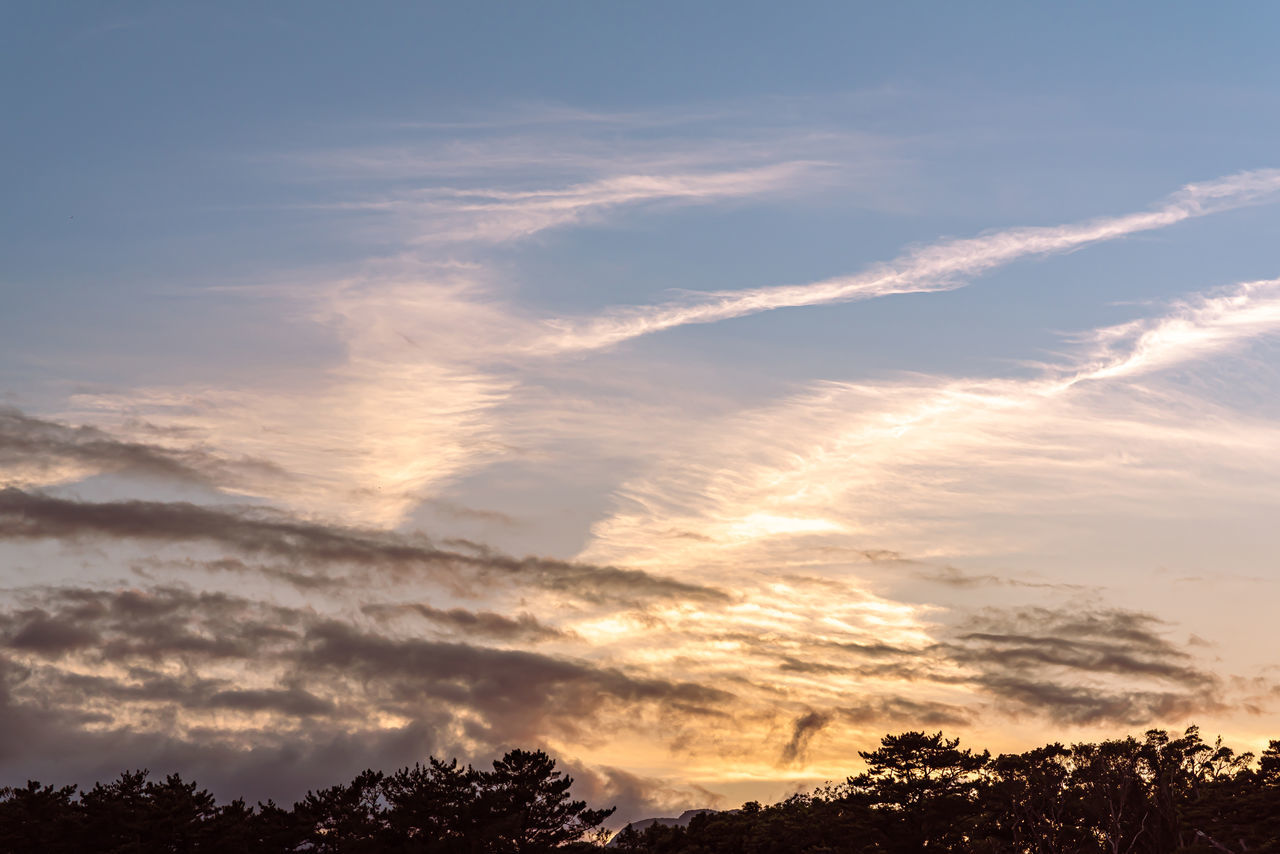 sky, cloud, tree, beauty in nature, sunset, scenics - nature, nature, plant, tranquility, environment, no people, tranquil scene, sunlight, silhouette, dramatic sky, afterglow, landscape, dawn, horizon, outdoors, idyllic, cloudscape, evening, blue, sun, low angle view, forest, orange color, non-urban scene, red sky at morning, land, sunbeam
