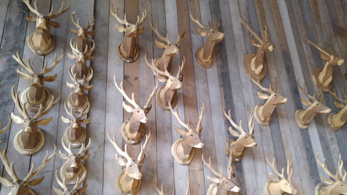 Low angle view of hunting trophies on wall