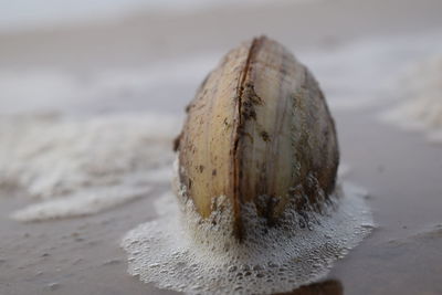 Close-up of sand on beach