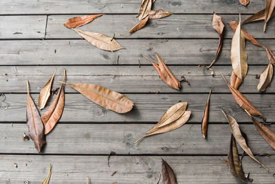 Directly above shot of wood