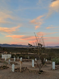 Scenic view of field against sky during sunset