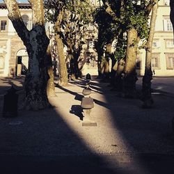 People walking on road