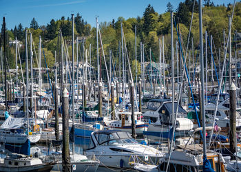 Boats in harbor