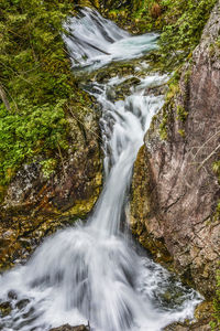 Scenic view of waterfall in forest