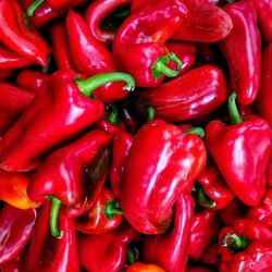 Full frame shot of red chili peppers