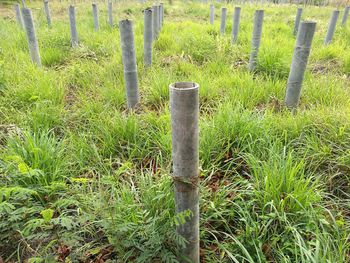 Low section of man on wooden post