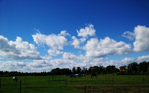 View of landscape against cloudy sky