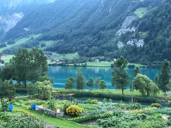 Scenic view of lake and mountains