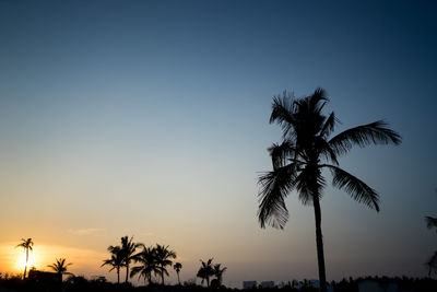 Low angle view of silhouette palm trees against clear sky