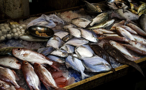 High angle view of fish for sale in market