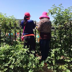 Rear view of people walking by plants against sky