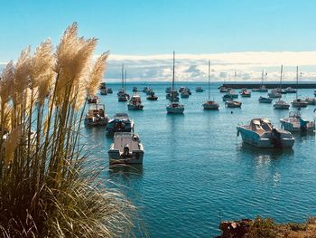 High angle view of sailboats moored on sea against sky