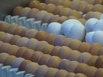 Close-up of multi colored pencils