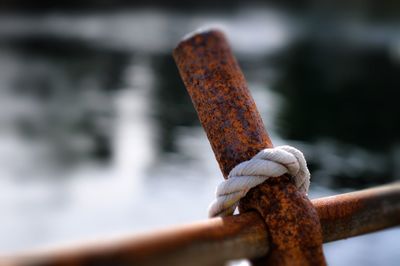 Close-up of rusty metal